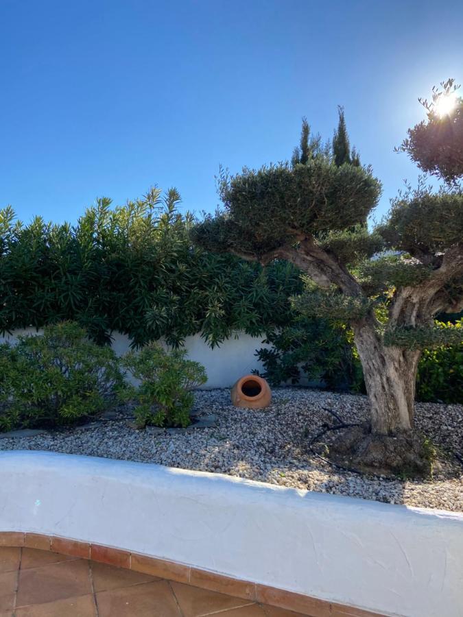 Villa Entiere Piscine Et Cuisine D'ete A Pinosol