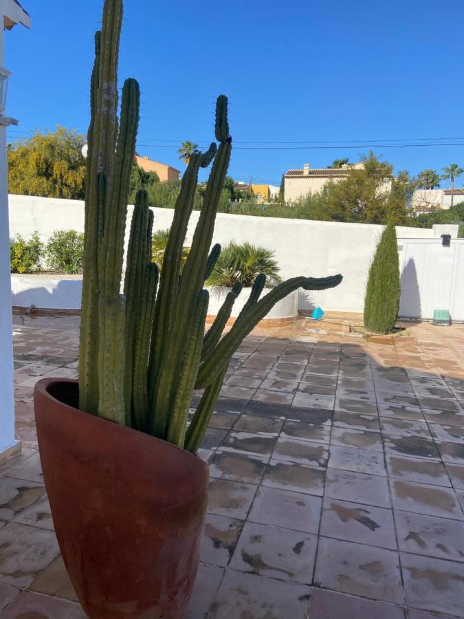 Entiere Piscine Et Cuisine D'ete A Pinosol Villa Javea