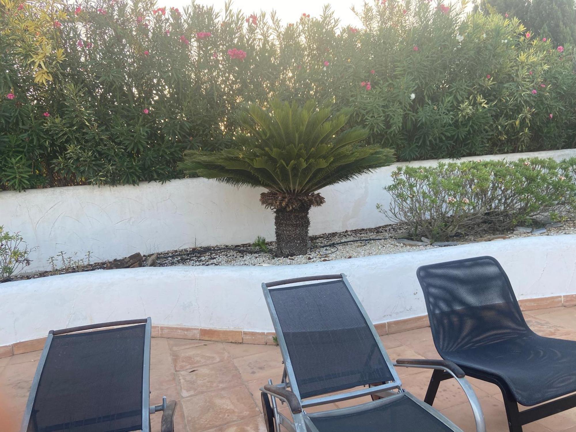 Entiere Piscine Et Cuisine D'ete A Pinosol *